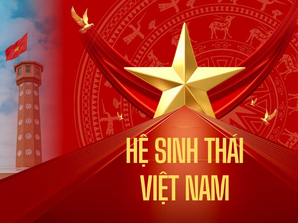 Giới thiệu