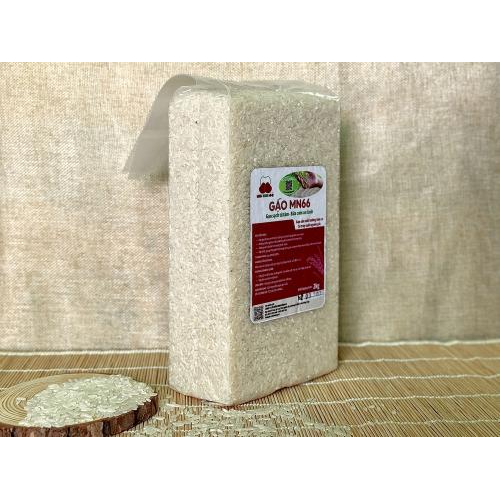 Gạo MN66 Túi 2kg