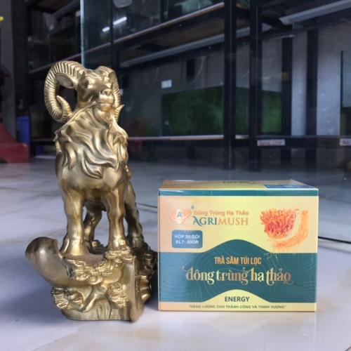 Trà Đông Trùng Hạ Thảo Có Tác Dụng Gì?