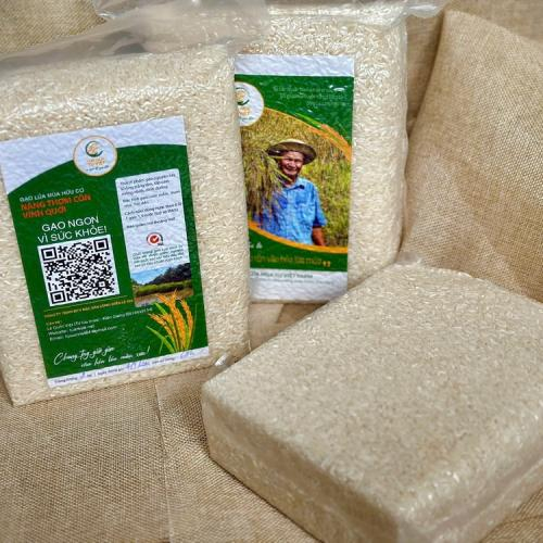 Có Phải Ăn Ít Cơm Nàng Thơm Giúp Giảm Cân Hiệu Quả Hơn?