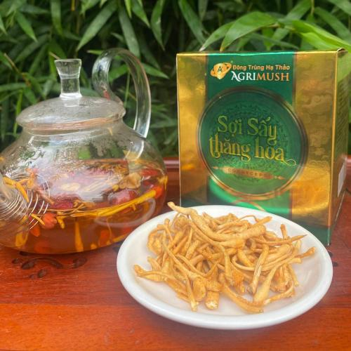 7 Dược Chất Quan Trọng Trong Đông Trùng Hạ Thảo Sấy Thăng Hoa