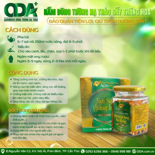 7+ Tác Dụng Của Đông Trùng Hạ Thảo Sấy Thăng Hoa Bạn Nên Biết