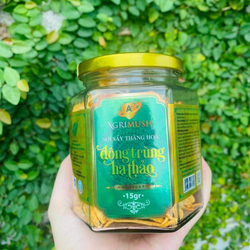 Đông Trùng Hạ Thảo Sấy Thăng Hoa Có Giúp Giảm Cân Không? 5 Lợi Ích Ít Ai Biết