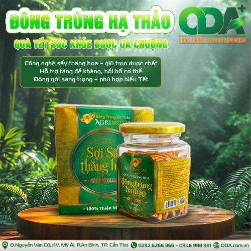 Tác Dụng Của Đông Trùng Hạ Thảo Sấy Thăng Hoa Đối Với Hệ Miễn Dịch