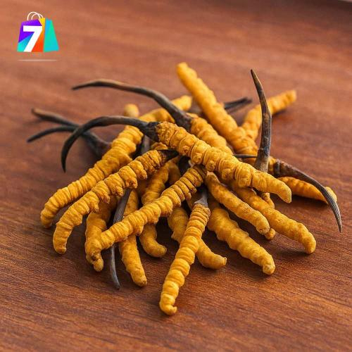 Tăng Cường Sức Đề Kháng Với Đông Trùng Hạ Thảo Tự Nhiên