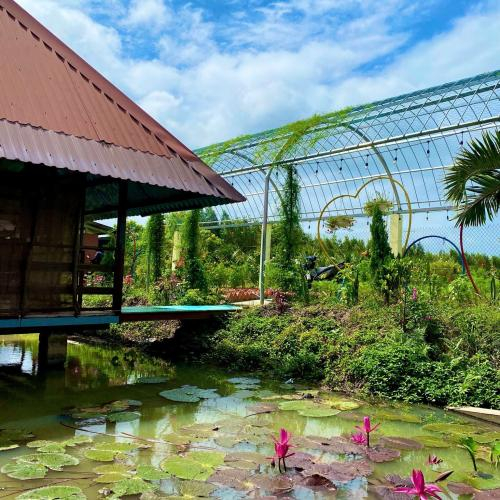 Phú Điền Du Lịch Sinh Thái Gần Gũi Với Hiên Nhiên