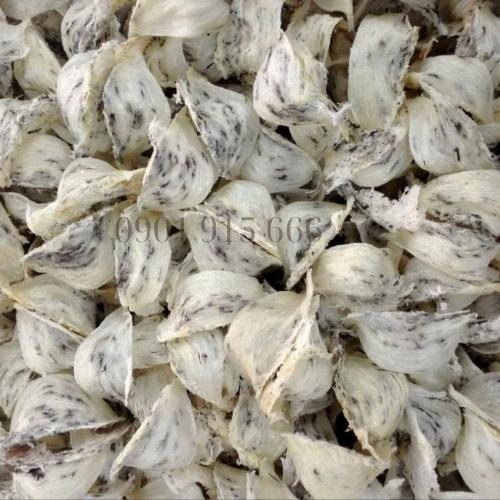 Tổ Yến Thô - Hộp 100gr