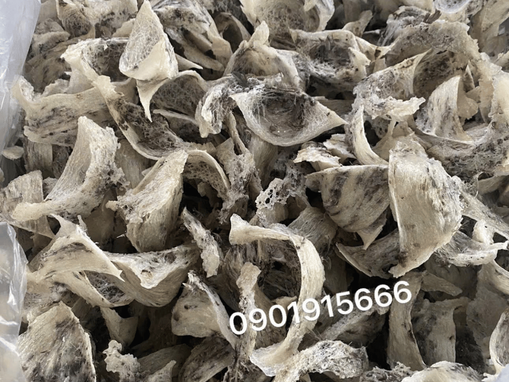 Những trường hợp nên sử dụng