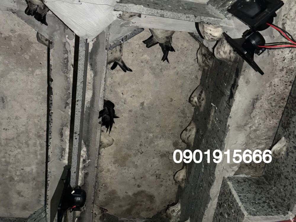 Lợi ích khi sử dụng