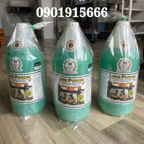 Bao Lâu Sau Khi Dùng Love Potion 1L Thì Yến Bắt Đầu Sinh Sản?