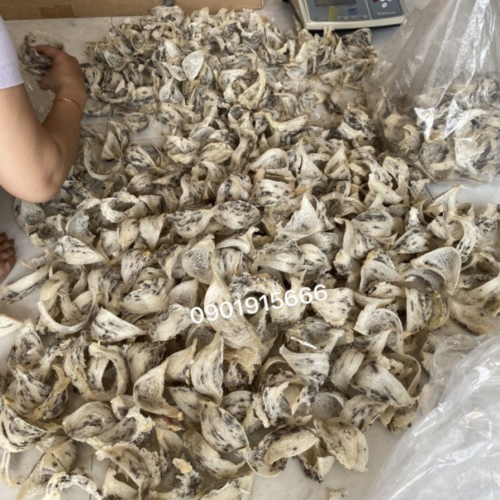 Yến Thô (Dành Tinh Chế) - 100gr