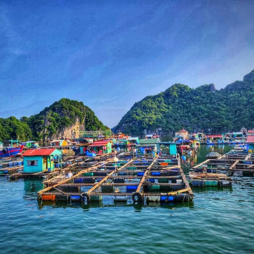Làng Chài Cửa Vạn