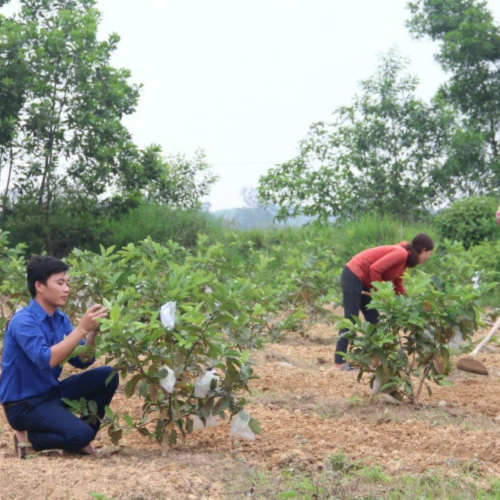 Khởi Nghiệp Trên Quê Hương Lý Tự Trọng