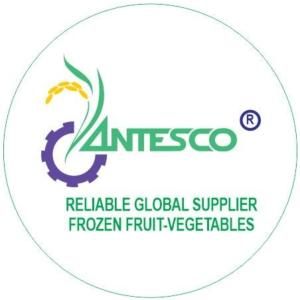 An Giang Fruit-Vegetables & Foodstuff Joint Stock Company (ANTESCO)