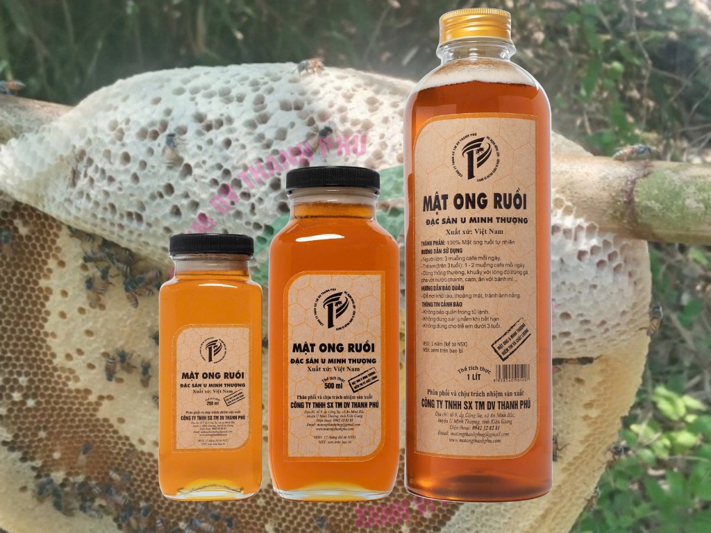 Experience the Essence of U Minh Forest