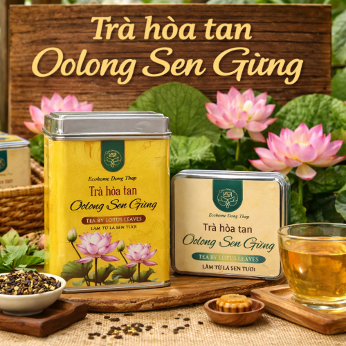Trà Oolong Sen Gừng - Hộp 100gr