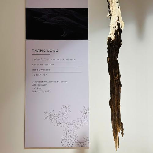 Trầm Cảnh Thăng Long