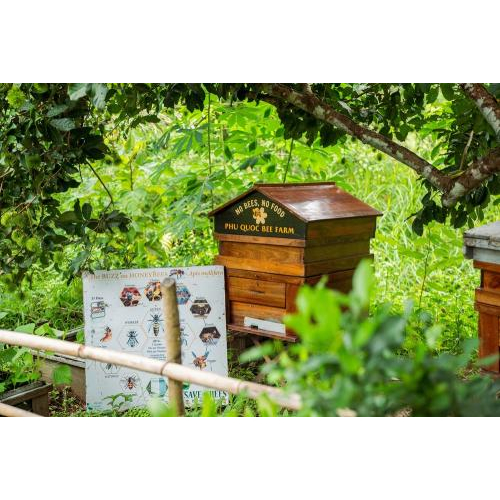 (TOUR RIÊNG) Chèo Thuyền Thúng Sông Cửa Cạn + Tham Quan Trang Trại Mật Ong