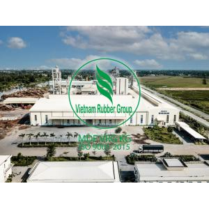 Cty CP Gỗ MDF VRG An Giang