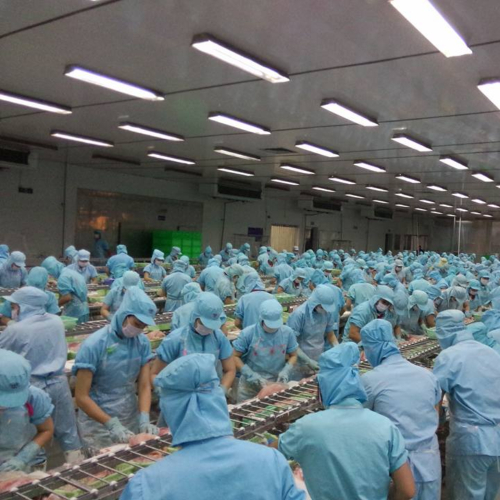 An Giang Triển Khai Hỗ Trợ Doanh Nghiệp Nhỏ Và Vừa Năm 2025