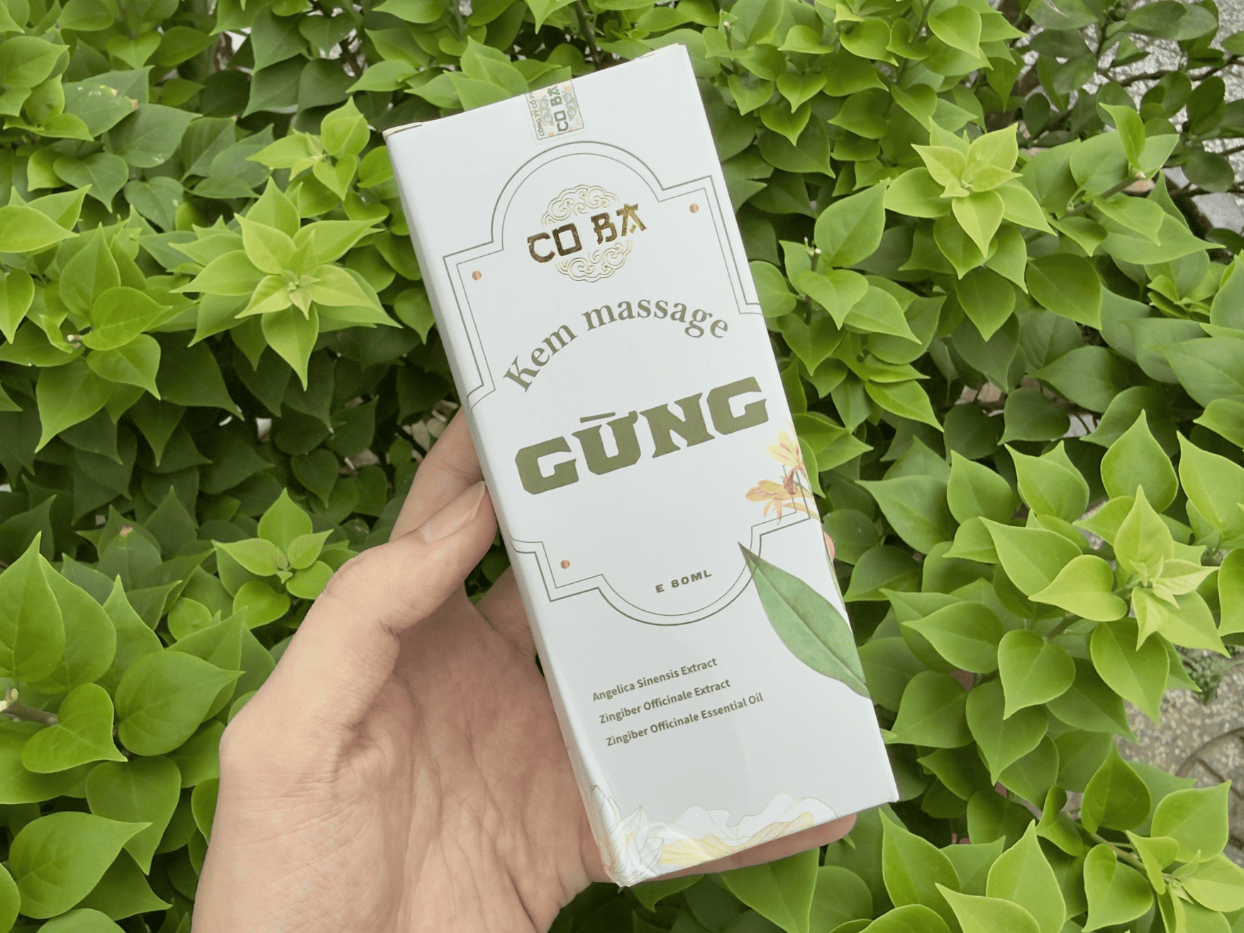 Hướng dẫn sử dụng