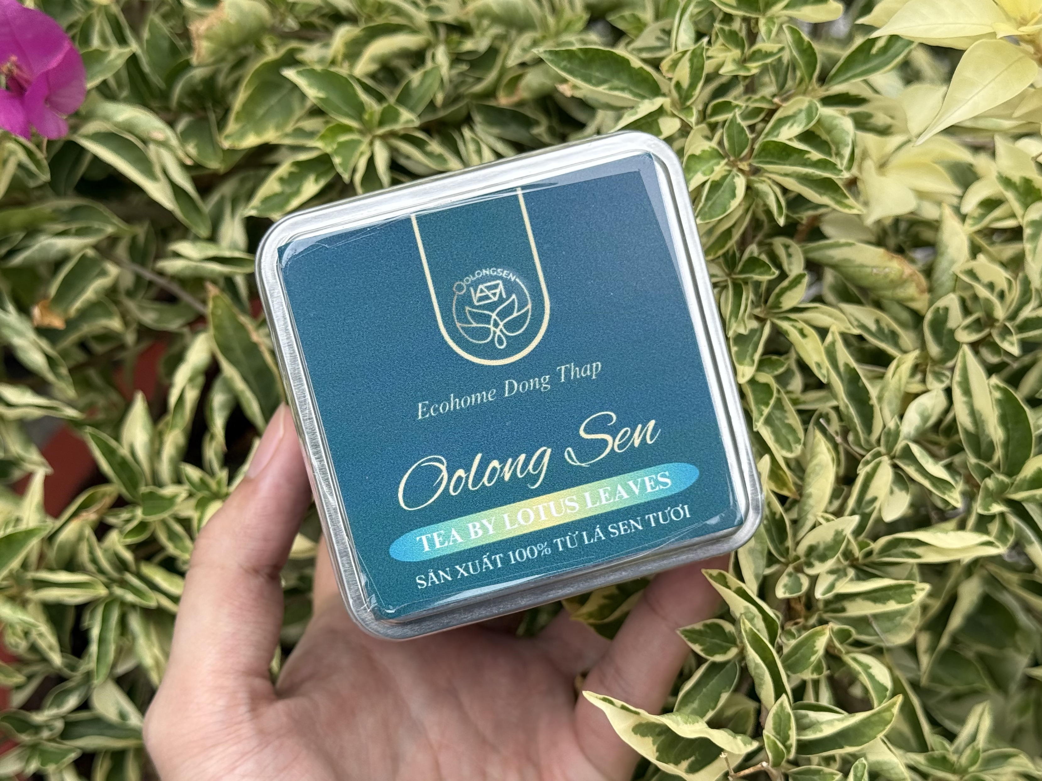 Đối tượng nên sử dụng