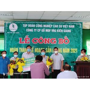 Công Ty Cổ Phần Gỗ MDF VRG Kiên Giang