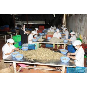 Công Ty Cổ Phần Xuất Nhập Khẩu Kiên Giang