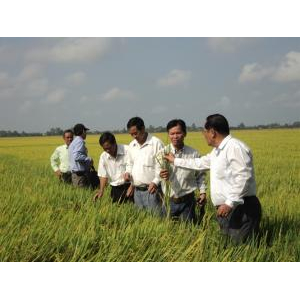 Công Ty TNHH Thanh Xuân