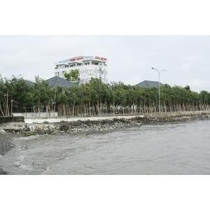 Hộ Kinh Doanh Nhà Hàng Năm Nhỏ